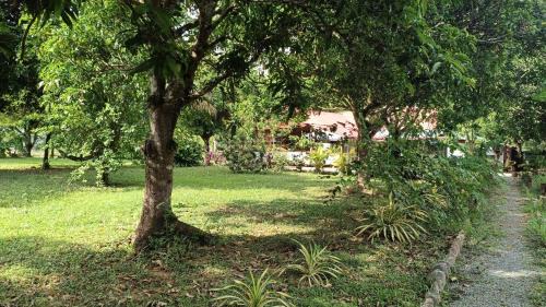 Double Room with Garden View