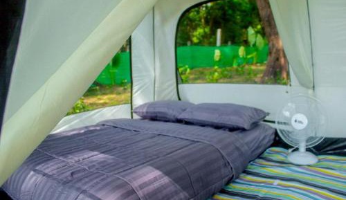 Tent