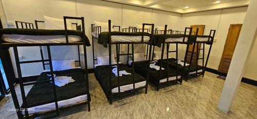 Bunk Bed in Mixed Dormitory Room