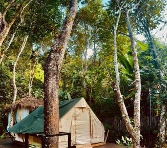 Tent