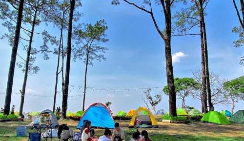 Standard Tent
