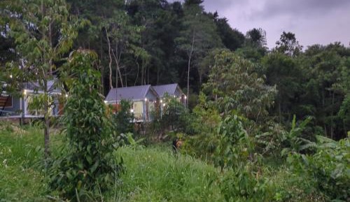 Deluxe Bungalow with Garden View