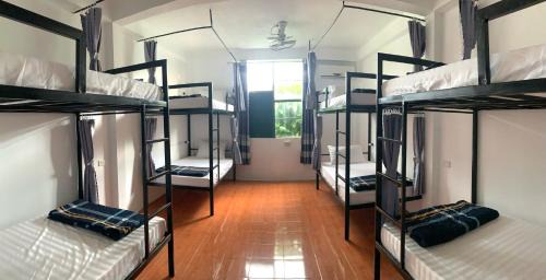 Bed in 8-Bed Dormitory Room