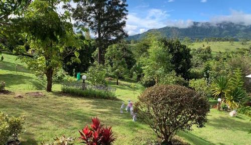 Double Room with Mountain View