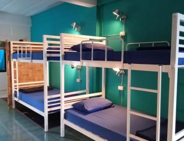 Bed in 8-Bed Mixed Dormitory Room