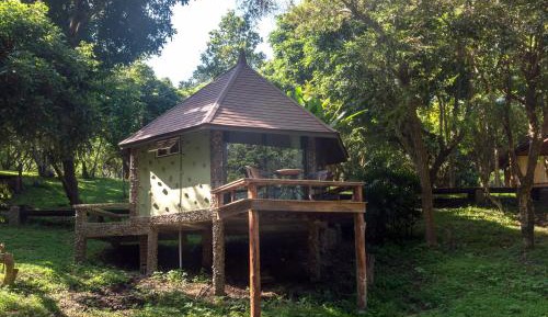 Standard Bungalow