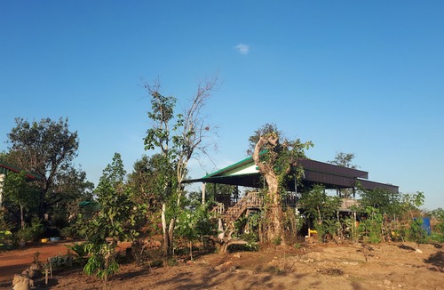 Dongmakkhai Hotel | Vongkham Eco Resort