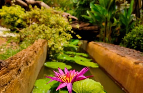 Saraphi Villa | Flora Land Resort Chiang Mai