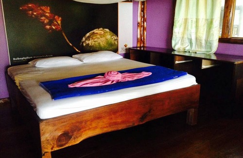 Nuea Khlong Hotel | Freeda Resort Koh Jum