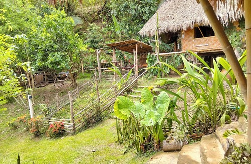 Chiang Khong House | Art Khamu Homestay