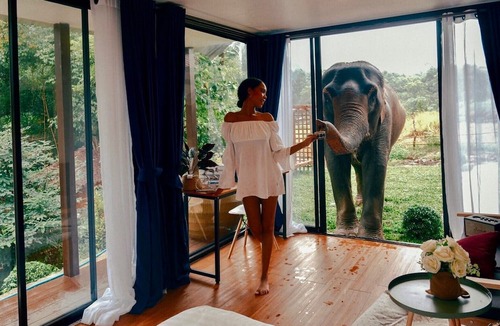 Mae Wang Resort | 3Pok wake with elephants