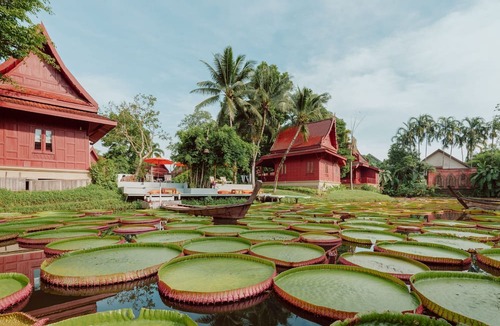 Bang Tao Hotel | Ma Doo Bua Phuket (มาดูบัวภูเก็ต)