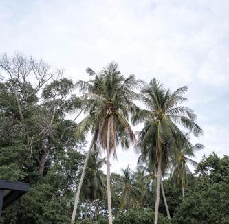 Srithanu House | Tropical Retreat 2 mn Zen Beach and AC