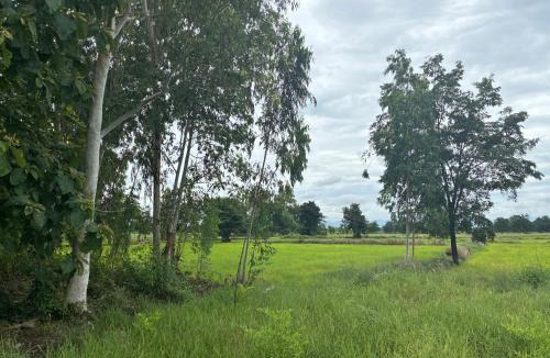 Wichian Buri Bed & Breakfast | The Sawmill Lakeside Hut