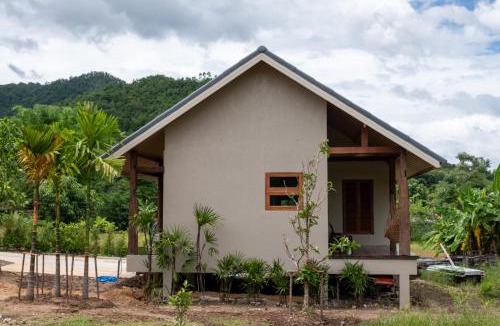 Pai House | The BROWN PAI