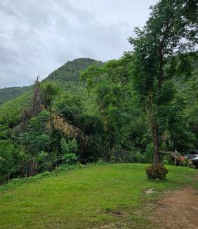 Tha Kradan Other | Wildlife Private Camp
