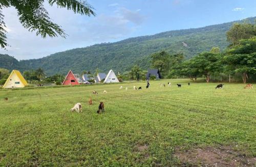 Noen Maprang Resort | The mountain deer view lodge & hashery