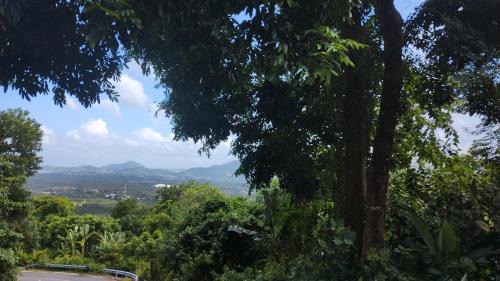 Hua Hin House | N HuaHin