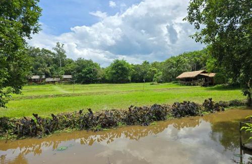 Pa Sang House | Ahsa Farm Stay