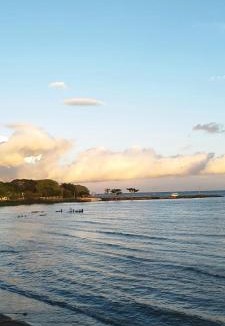 Ometepe Island Hotel | Hostal Playa Santa Martha