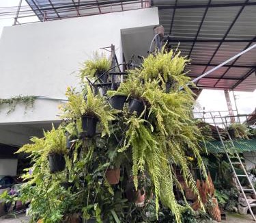 Nong Pa Khrang Apartment | เฮือนล้านนา