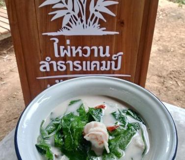 Srinagarindra Resort | Paiwan Lamtarn Camp Phatthalung ไผ่หวานลำธารแคมป์ พัทลุง