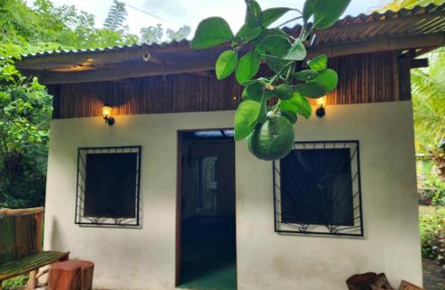 Balgue House | El Buho Cabin
