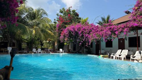 Bang Tao Other | Oasis2 Phuket Airport Glamping