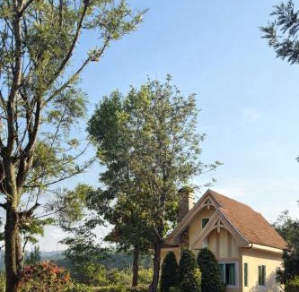 Khao Kho Resort | silverpine khao kho