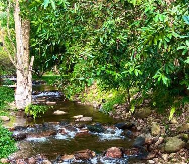 Khao Yai National Park House | kind of green house