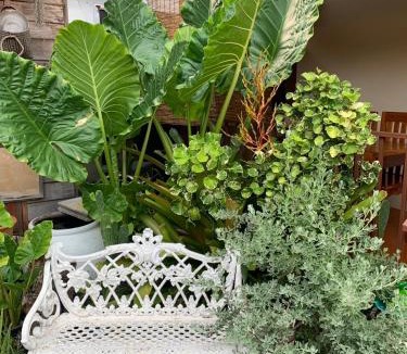 Chiang Khan House | บ้านเคคานการ์เด้น K Khan Walking Street Garden Home