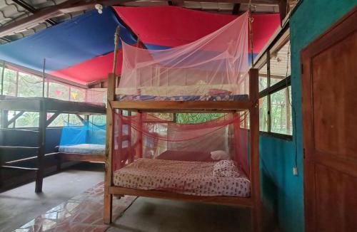 Santa Cruz Hostel | Roots hostel & Camping Ometepe