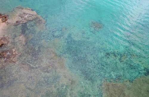 Koh Lan Hotel | Madusea Grand Villa มาดูซี แกรนด์ วิลล่า
