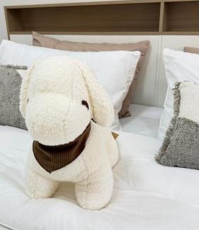 Chiang Rai Apartment | Mnp home