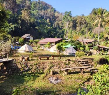 Phrae Other | Pick-A-Brew Camp