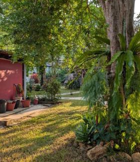 Ko Chang Hotel | The Nest-Kai Bae