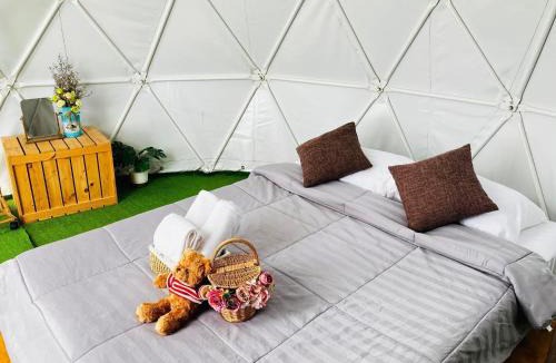 Tap Tao Hotel | Phuchifa Sky Camp ร้อยรักภูชี้ฟ้า