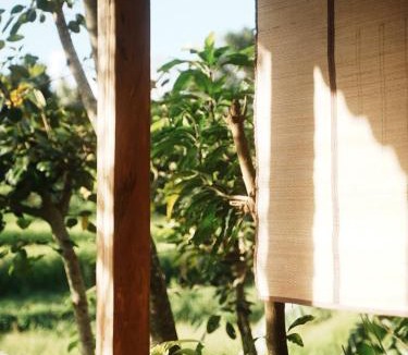 Mae Wang House | Nongtao Homestay