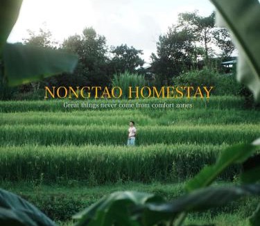 Mae Wang House | Nongtao Homestay