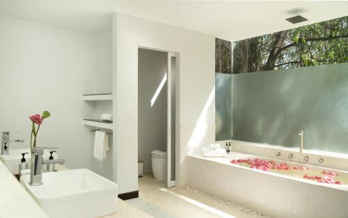 Siem Reap Resort | The Forest