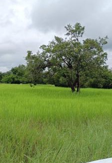 Ubon Ratchathani Resort | Vaplanakhaw Ubon