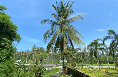 Khao Lak House | Roy Lao House