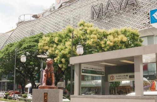 Huay Kaew Villa | Boxsoon nimman 8 # 3beds 2bahts