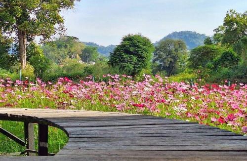 Tha Khlo Resort | Supalai Pasak Resort Hotel And Spa