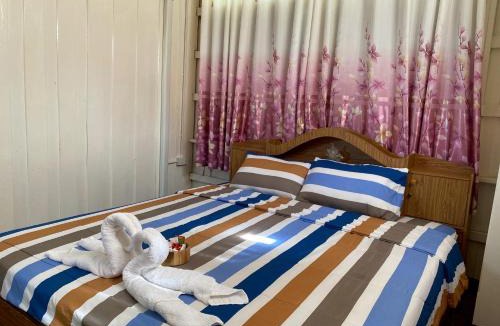 Phichai Hostel | Khun Cham-nan Herb Garden House