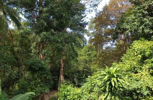 Haad Yao House | Butterfly Cottage Tracy Island Had Yao