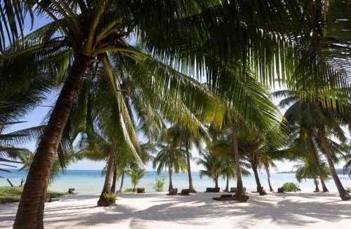 Koh Rong Hotel | Tamu Koh Rong