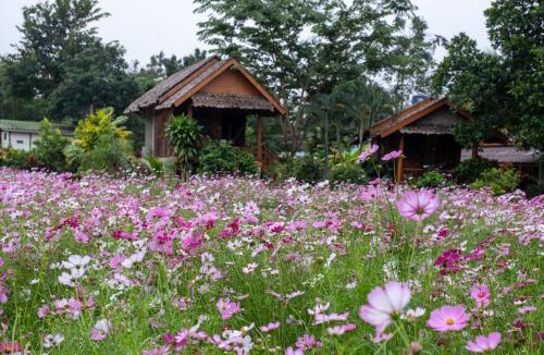 Pai Resort | The Nest House