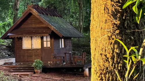 Thong Pha Phum Resort | Kawarin Saiyai Cottage and Lake