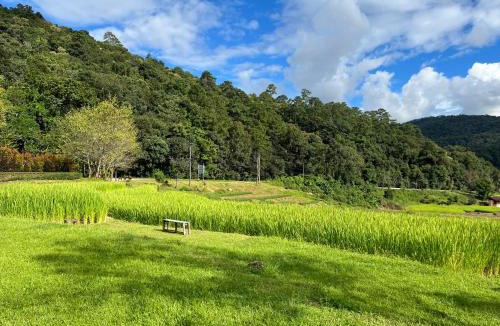 Chom Thong House | Angha forest view บ้านริมไผ่